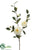 Camellia Spray - White - Pack of 6