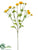 Cornflower Spray - Yellow - Pack of 12