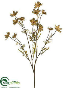 Cosmos Spray - Avocado Green - Pack of 12