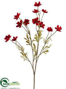 Cosmos Spray - Flame Brick - Pack of 12