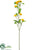 Silk Plants Direct Aster Daisy Spray - Fuchsia - Pack of 12