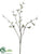 Euphorbia Spray - White - Pack of 12