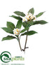 Silk Plants Direct Frangipani Spray - Cream - Pack of 6