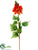 Flame Tree Flower Spray - Orange - Pack of 12
