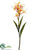 Butterfly Ginger Spray - Yellow Orange - Pack of 6