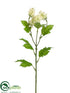 Silk Plants Direct Wild Hops Spray - Cream - Pack of 12