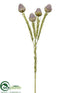 Silk Plants Direct Leucadendron Spray - Chocolate - Pack of 12