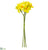 Narcissus Bundle - Yellow - Pack of 12
