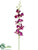 Dendrobium Orchid Spray - Purple - Pack of 12