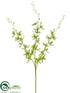 Silk Plants Direct Dendrobium Orchid Spray - Green Cream - Pack of 12