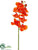 Phalaenopsis Orchid Spray - Orange - Pack of 12