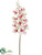 Vanda Orchid Spray - Cream Fuchsia - Pack of 12