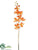 Vanda Orchid Spray - Orange Two Tone - Pack of 12