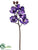 Orchid Spray - Eggplant - Pack of 12