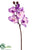 Orchid Spray - Lavender - Pack of 12