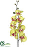 Silk Plants Direct Phalaenopsis Orchid Spray - Green Beauty - Pack of 12