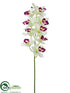 Silk Plants Direct Cymbidium Orchid Spray - Cream Burgundy - Pack of 12