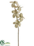 Silk Plants Direct Vintage Orchid Spray - Green Antique - Pack of 12