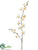Mini Phalaenopsis Orchid Spray - Cream Yellow - Pack of 12