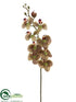 Silk Plants Direct Phalaenopsis Orchid Spray - Green Burgundy - Pack of 12