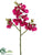Phalaenopsis Orchid Spray - Fuchsia - Pack of 12