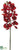 Phalaenopsis Orchid Spray - Flame - Pack of 12