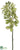 Phalaenopsis Orchid Spray - Green - Pack of 12