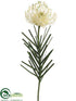 Silk Plants Direct Needle Protea Spray - White - Pack of 12