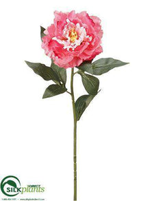 Peony Spray - Beauty - Pack of 12