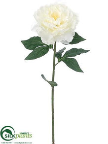 Peony Spray - White - Pack of 12