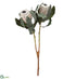 Silk Plants Direct Protea Spray - Beige - Pack of 6