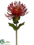 Silk Plants Direct Protea Spray - Orange - Pack of 12