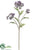Queen Anne's Lace Spray - Purple - Pack of 12