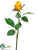 Rose Bud Spray - Yellow Beauty - Pack of 12
