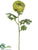 Double Ranunculus Spray - Green - Pack of 12