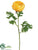 Double Ranunculus Spray - Yellow - Pack of 12