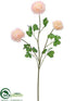 Silk Plants Direct Ranunculus Spray - Pink Soft - Pack of 12
