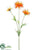 Silk Plants Direct Spider Aster Spray - Orange Flame - Pack of 12