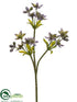 Silk Plants Direct Starflower Spray - Purple - Pack of 12