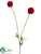 Scabiosa Bud Spray - Red - Pack of 12