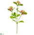 Silk Plants Direct Pentas Star Flower Spray - Pink - Pack of 12