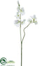 Silk Plants Direct Sweetpea Spray - White - Pack of 24