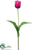 Tulip Spray - Fuchsia Two Tone - Pack of 12