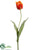 Dutch Tulip Spray - Flame Green - Pack of 12