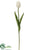 Tulip Bud Spray - White - Pack of 12