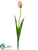 French Tulip Spray - Peach Coral - Pack of 12