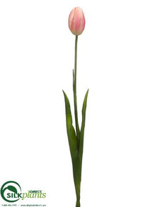 Tulip Spray - Pink Green - Pack of 12