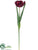 Tulip Spray - Wine - Pack of 12