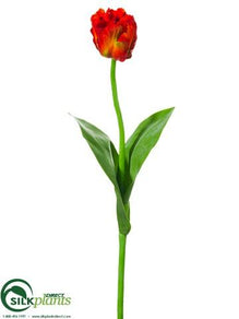 Parrot Tulip Spray - Red Tomato - Pack of 12