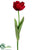 Parrot Tulip Spray - Red - Pack of 12